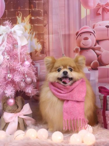 20241222梛都ちゃん